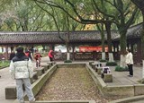 青春正当时，“志”在稽山公园